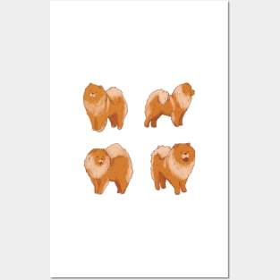 Chow chow art pack Posters and Art